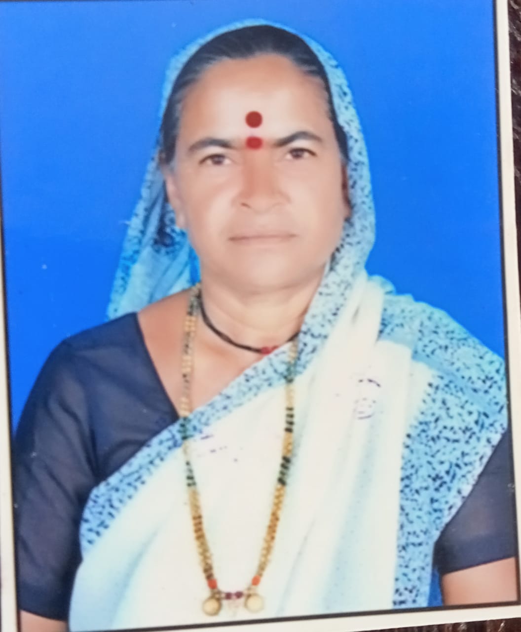 विमल रामदास जगताप