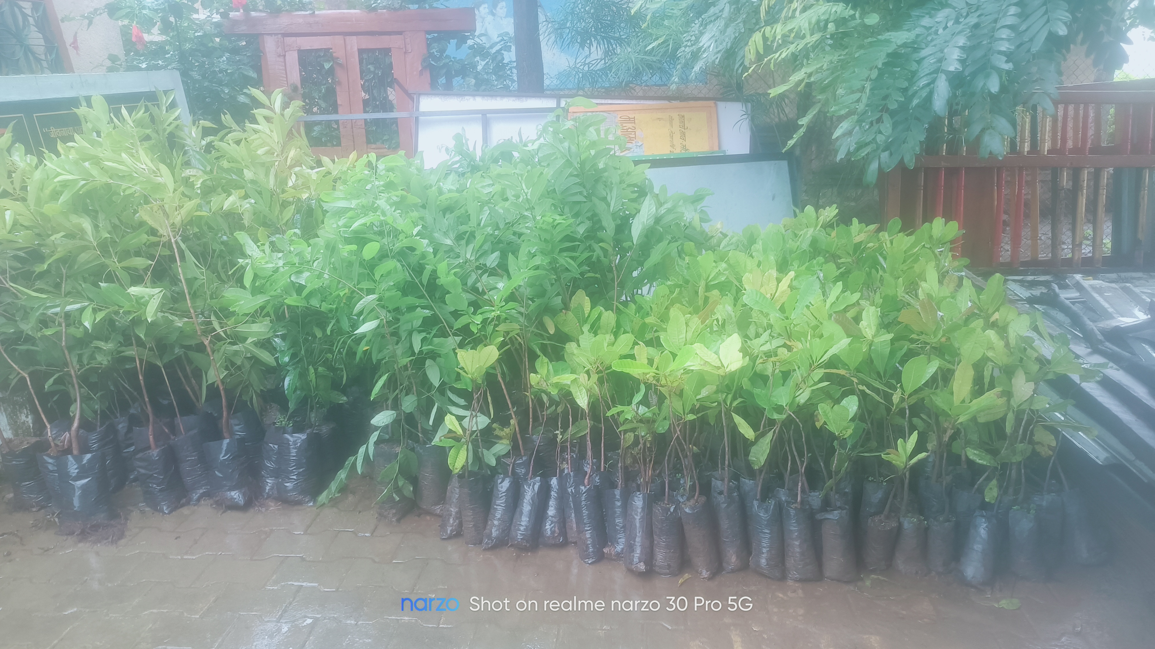 आमचे सरलेदिगर गावाविषयी माहिती