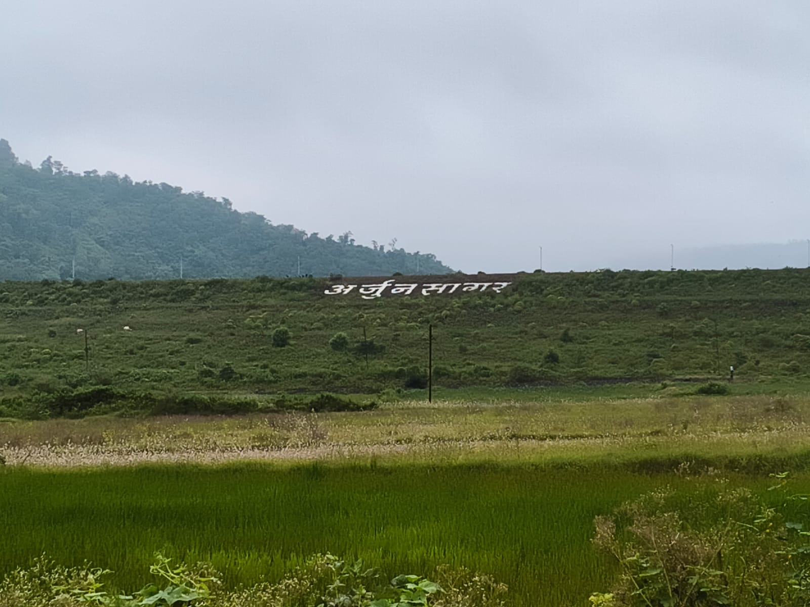 गॅलरी प्रतिमा