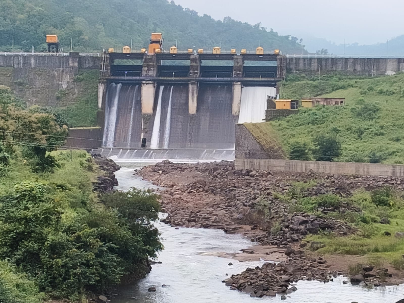गॅलरी प्रतिमा